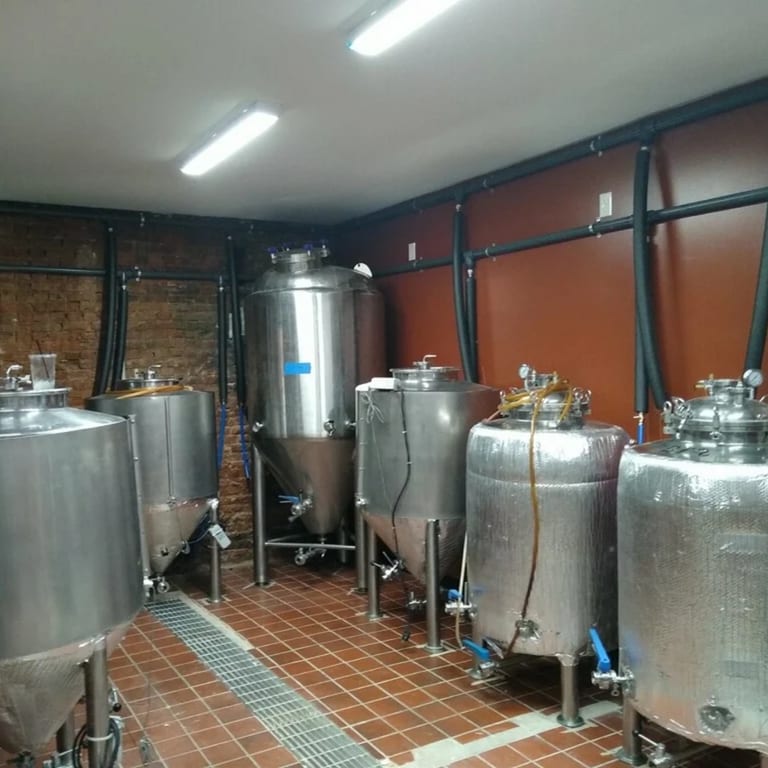 Fresh Beer. Bold Character